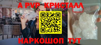 прущие грибы Лесосибирск