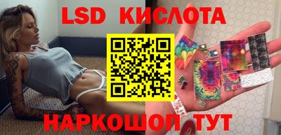 прущие грибы Лесосибирск